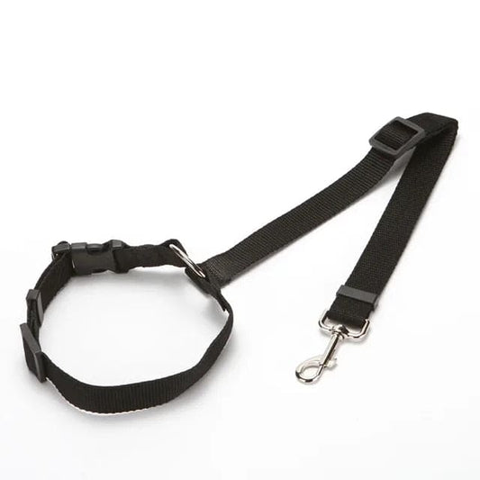 PawsJourneys Pet safe seatbelt